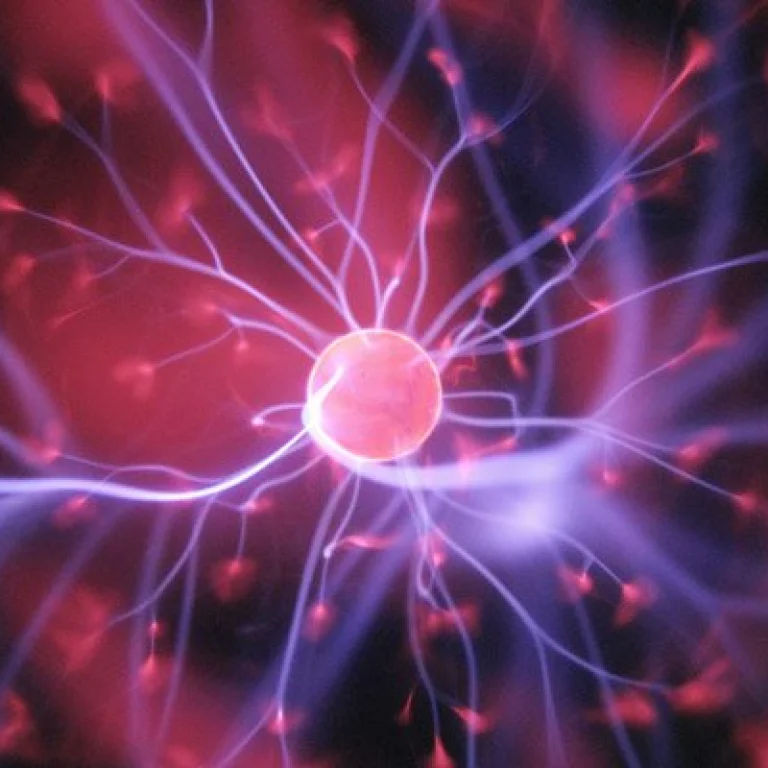 neurone
