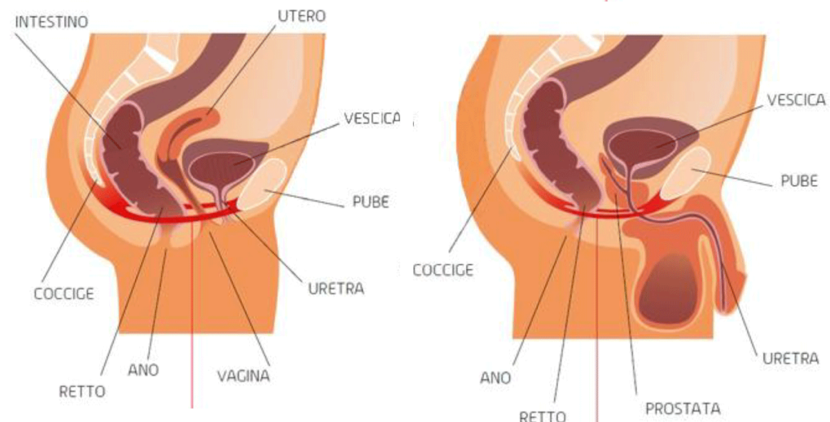 Polo Salute Lucca | Riabilitazione pavimento pelvico